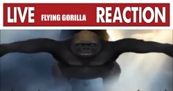 Live Flying Gorilla Reaction Meme Template