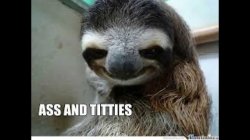 Bad Sloth Meme Template