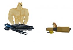 Roblox Galaxy Strong Doge vs Cheem Meme Template