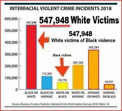 Interracial violence in USA Meme Template