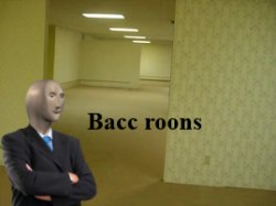 Bacc Roons Meme Template