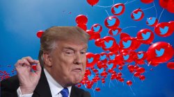 Trump Twitter 99 red balloons Meme Template