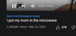 I put my mom in the microwave Meme Template