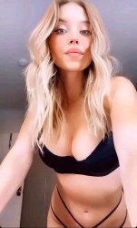 Sydney Sweeney Meme Template