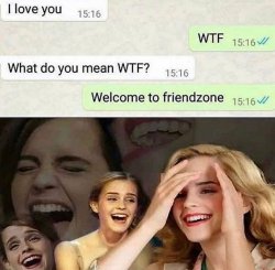 Friend Zone meme Meme Template