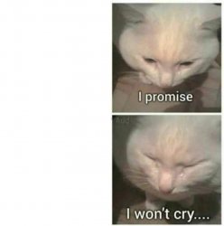 i promise i wont cry template Meme Template