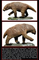Giant ground sloth Meme Template