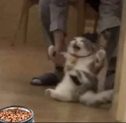 Scaredy cat Meme Template