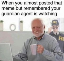 Guardian agent Meme Template