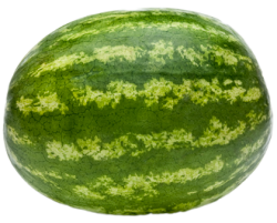 Watermelon (transparent background) Meme Template