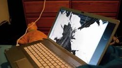 Riley smashed kyros computer Meme Template