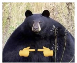 Bear fingers Meme Template