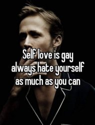 Self love is gay Meme Template