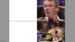 Vince McMahon 2 tier Meme Template