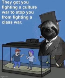 sloth culture war Meme Template
