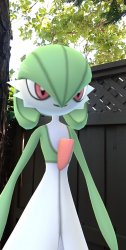 Gardevoir internally screaming Meme Template