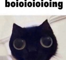 boioioioioing cat Meme Template