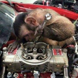 Monkey Car Engine Meme Template