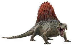 Dimetrodon (JWD Design) Meme Template