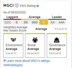 social score Meme Template