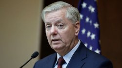 Lindsey Undocumented Democrat Meme Template