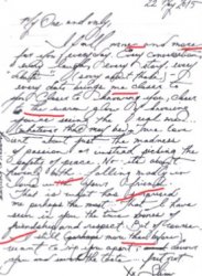 Amber heard diaries Meme Template