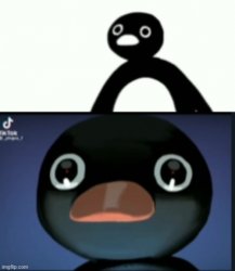 pingu Meme Template