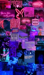 Bisexual aesthetic Meme Template