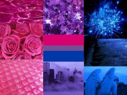 Bisexual aesthetic Meme Template