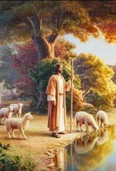 Jesus the shepherd with his flock Meme Template