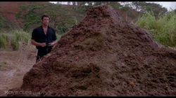 Poo pile Meme Template