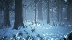 Winter forest aesthetic background Meme Template