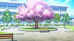 Anime school background with cherry blossom tree Meme Template