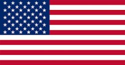 U.S.A. Flag Meme Template