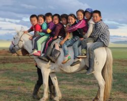 mongolian  horse kids Meme Template