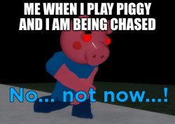 Piggy Meme Template