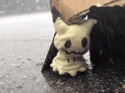 Sad Mimikyu Meme Template