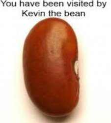 Kevin the bean Meme Template