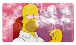 Homer Simpson smoking weed Meme Template