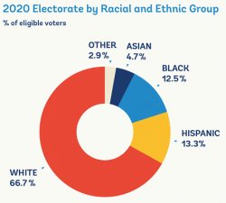 2020 Electorate by race USA Meme Template