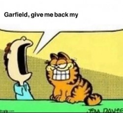 Garfield, give me back my X Meme Template