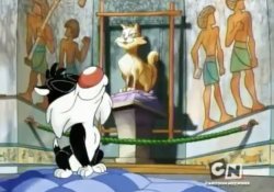 Cat Pose Meme Template