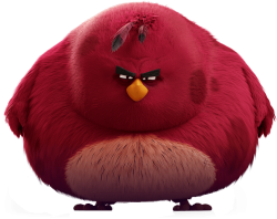 Terence (Angry Birds Movie Style) Meme Template