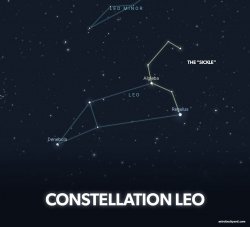 leo constellation Meme Template