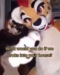 what would you do if some fatherless furries broke into ur home Meme Template