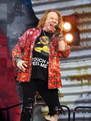 Fat Axl Rose Meme Template