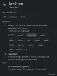 Feminine dictionary Meme Template