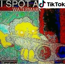 I spot a TikTok watermark Meme Template