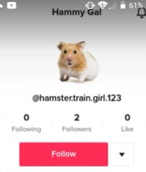 Little Hamster Girl Meme Template