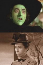 wicked witch Meme Template